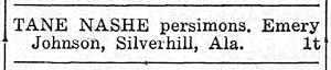 Newspaper Clipping - Click to Enlarge. Photo of Newspaper Clipping